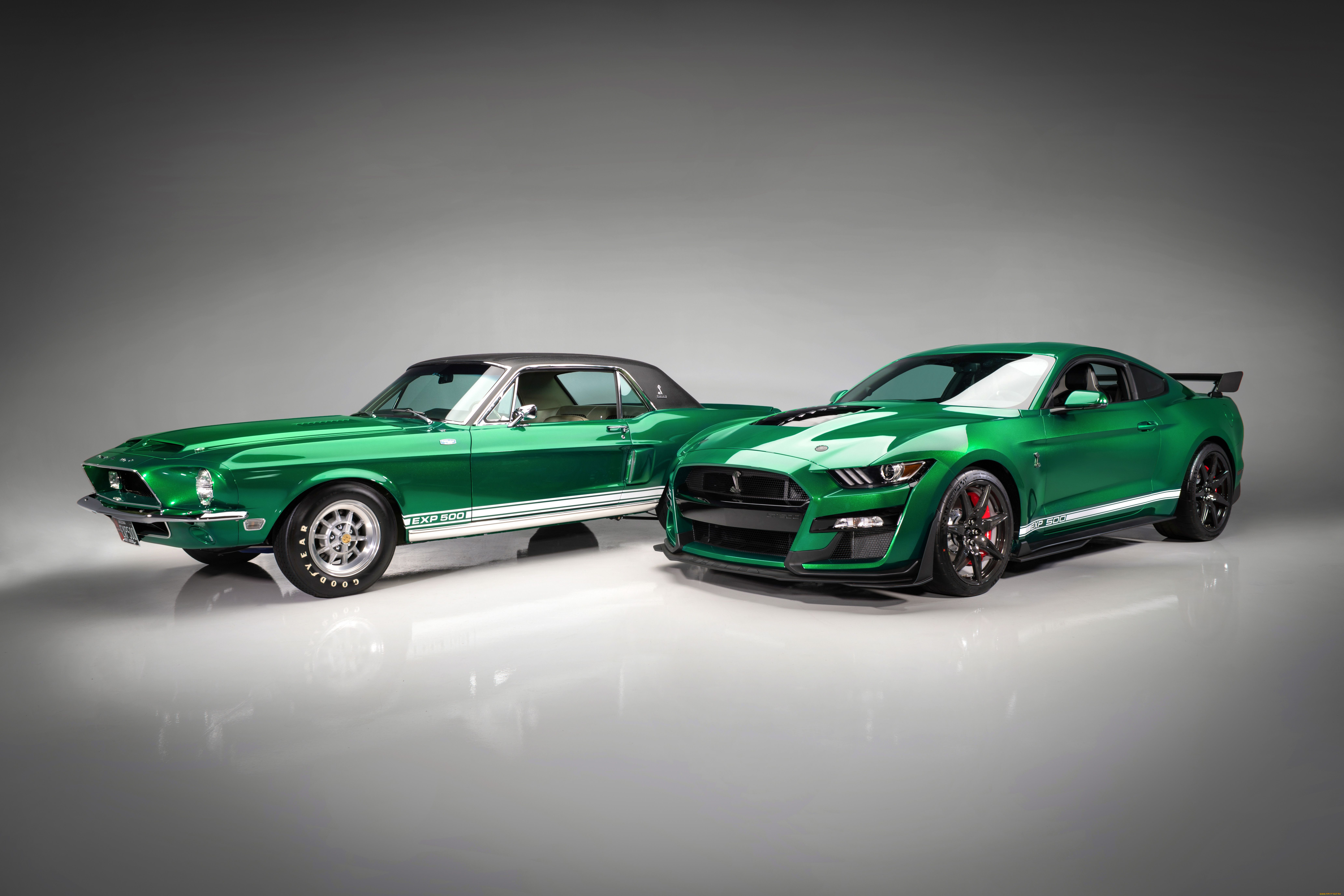 , mustang, shelby